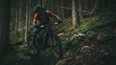 Trek Rail+ 9.8 GX AXS EU M Pennyflake Produktbild 5