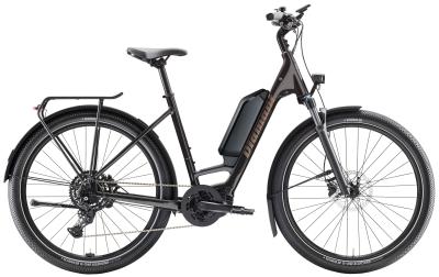 Diamant Zing Trip Core LS L Samtschwarz Metallic 800Wh Produktbild 6