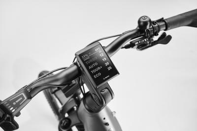 Diamant Suvea Trip Pro LS 600 S-M Heugrün Produktbild 2