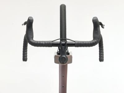 Trek Checkpoint ALR 5 XL Bronze Age Produktbild 8