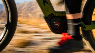 Trek PowerflyFS4 800EU XL 29 Mercury/Dark Web Produktbild 3