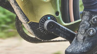 Trek Checkpoint+ SL6AXS EU ML Fjord Blue/Cobalt Blue Produktbild 11