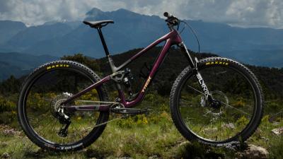 Trek Fuel EX 9.8 XT XXL Purple Phaze/Amethyst Marble Produktbild 12
