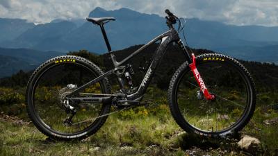 Trek FUEL+ LX 9.8 EA90 EU L Carbon Smoke/Lithium Grey M Produktbild 6