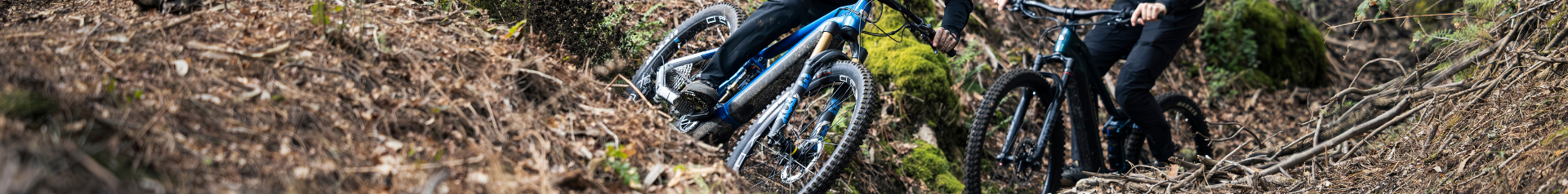 E-Mountainbike