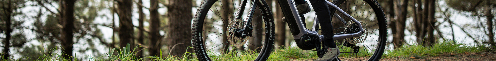 E-MTB Hardtail