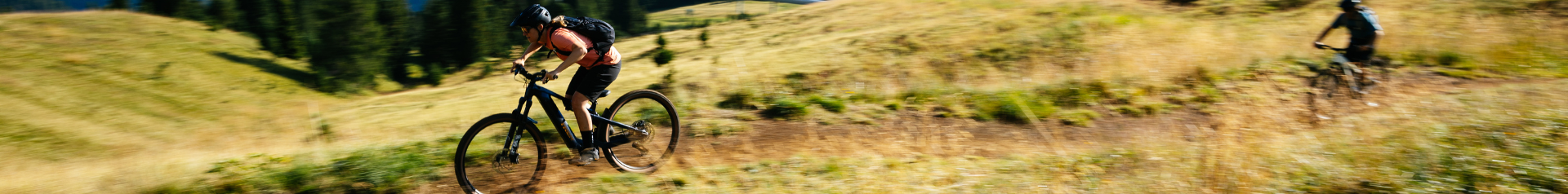 E-MTB Fully
