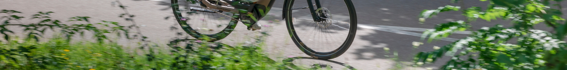 E-Bike Trekking