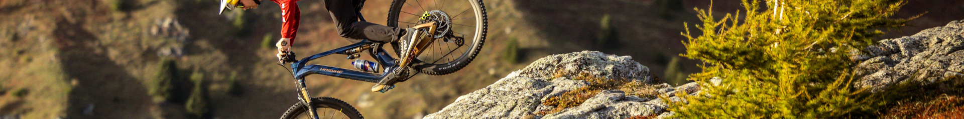 Light E-MTB