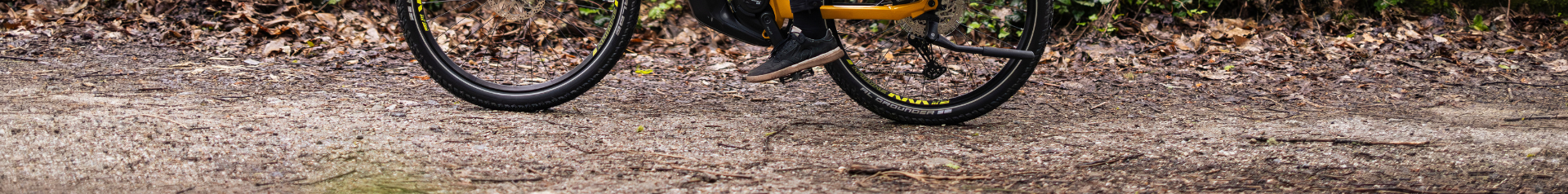 E-Bikes SUV