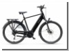 Batavus Finez E-go®Power Sport High 750 Wh 10 G